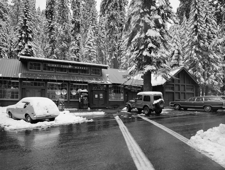 Giant Forest Village 1980