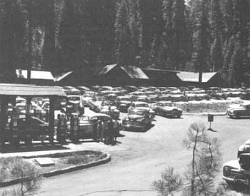 Giant Forest congestion