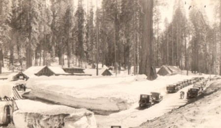 Giant Forest Village