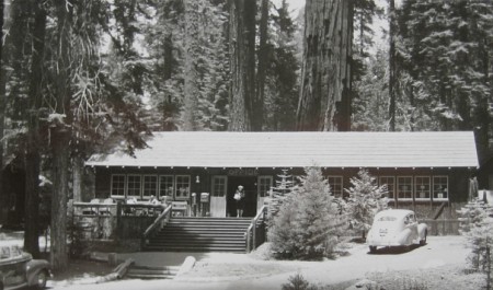 Giant Forest Village