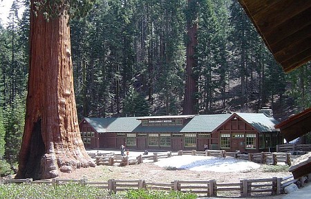 Giant Forest Village